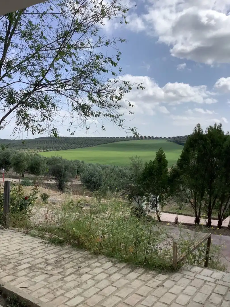 Casa rústica en venta en Montoro, imagen 40