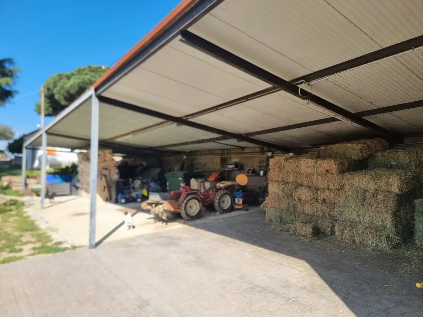 Casa o xalet en venda a Argentona Est