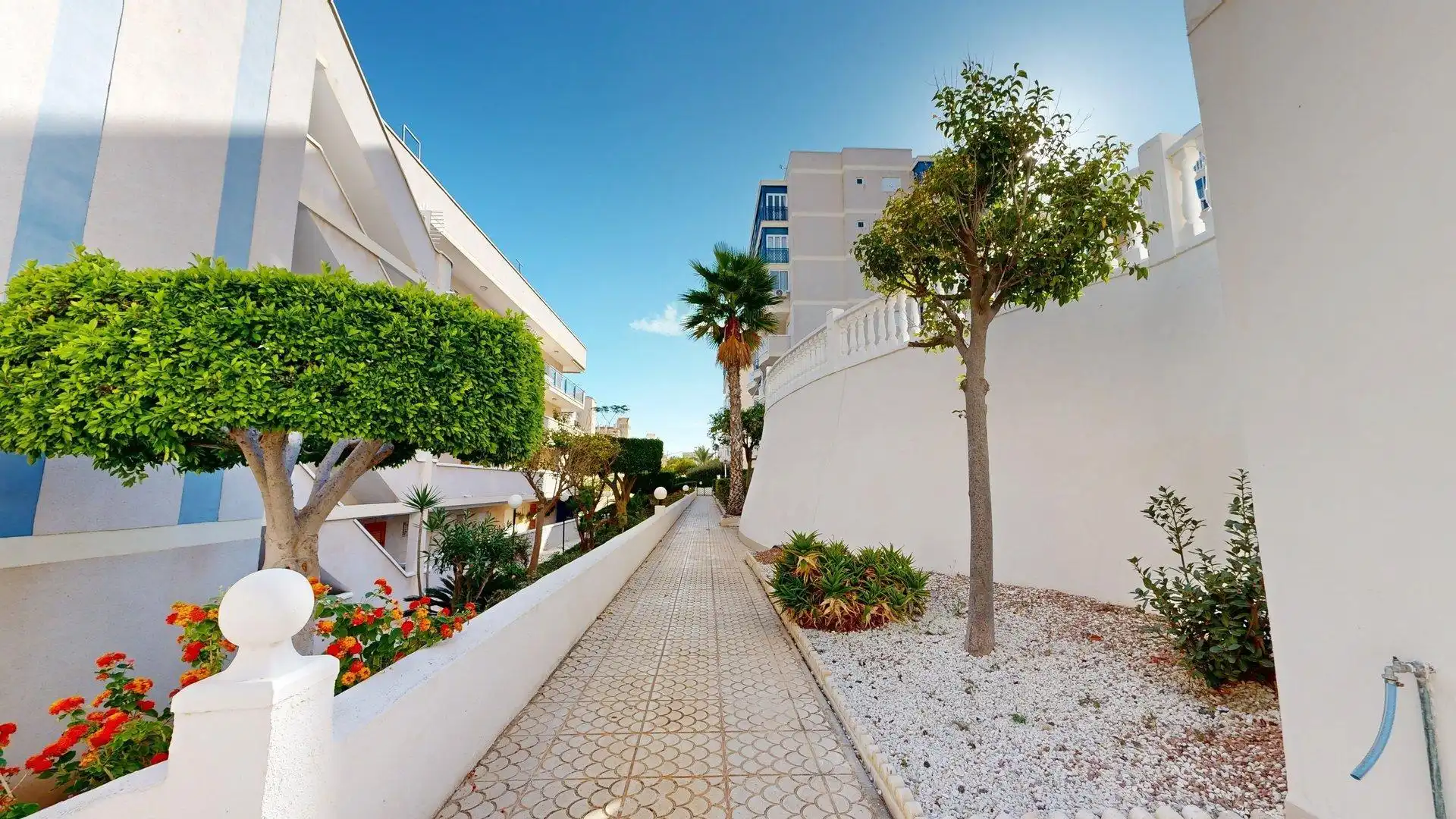 Appartement compact avec piscine à louer à Calle MALAGA 7, imagen 30