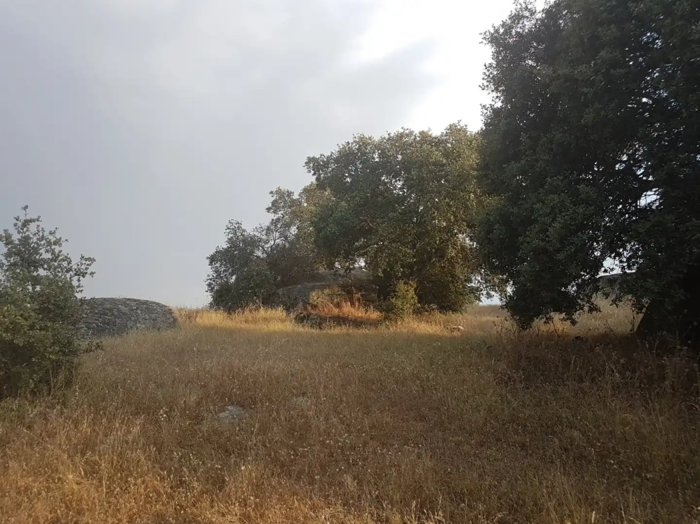 Terreni e lotti in vendita a Esparragalejo, imagen 11