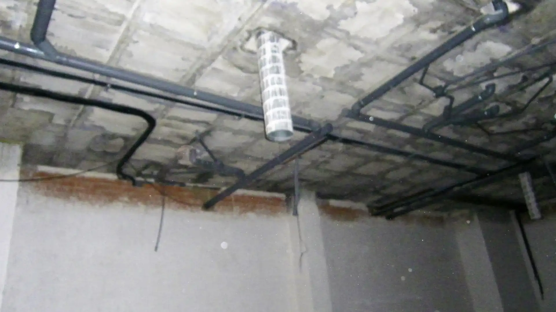 Commercial properties for rent in Elche / Elx