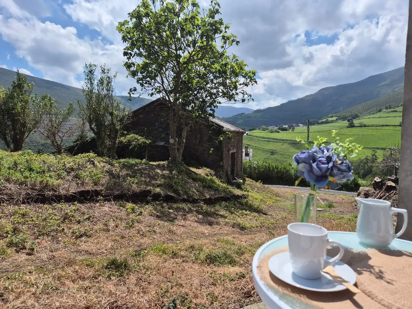 Jardín de Casa o chalet en venta en Vegadeo con Trastero y Piscina