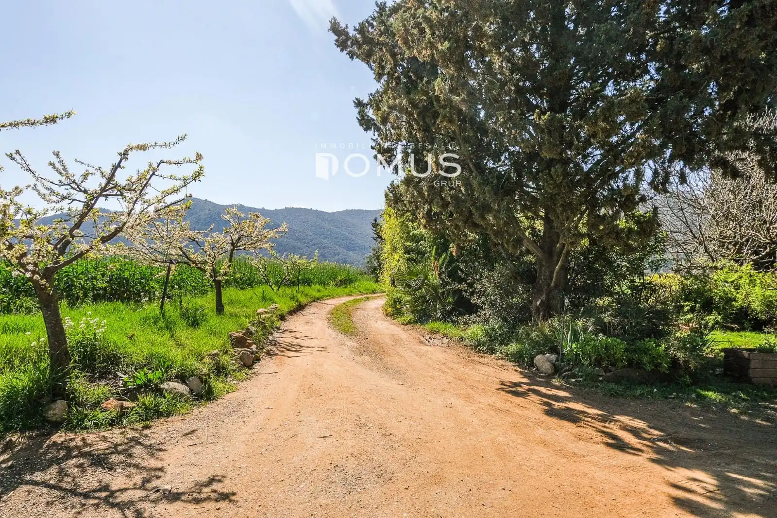 Finca rústica en venta en Besalú con Jardín privado