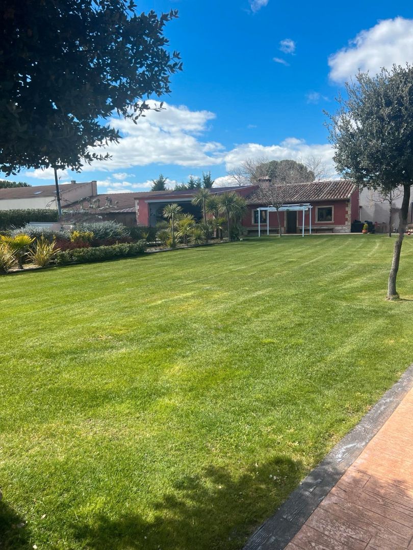 Jardí de Casa o xalet en venda en Villanueva de Duero amb Calefacció, Jardí privat i Terrassa
