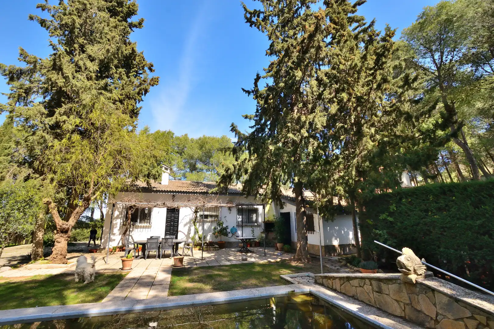 Jardín de Finca rústica en venta en Ronda con Jardín privado, Trastero y Piscina
