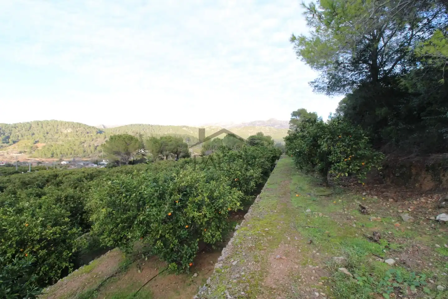 Terrenos y solares en venta en barranc del salt, imagen 14