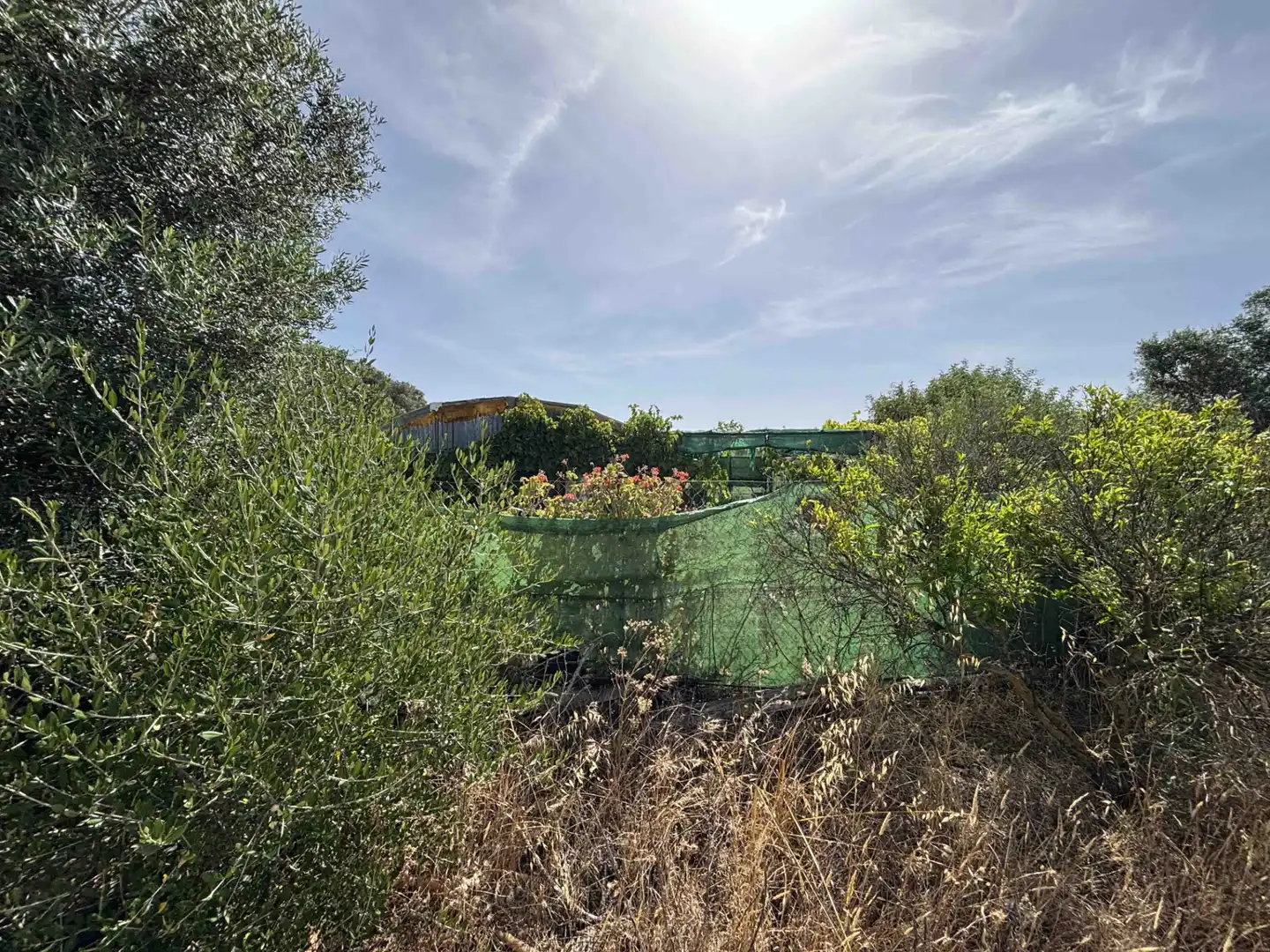 Terreny rústic en venda a Medina Sidonia, imagen 18