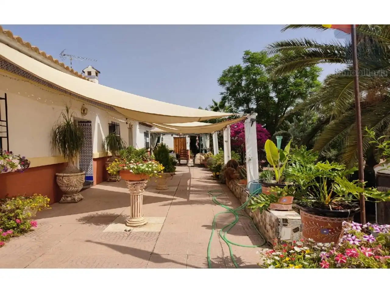 Casa amb jardí en venda a Calle MOLINOS