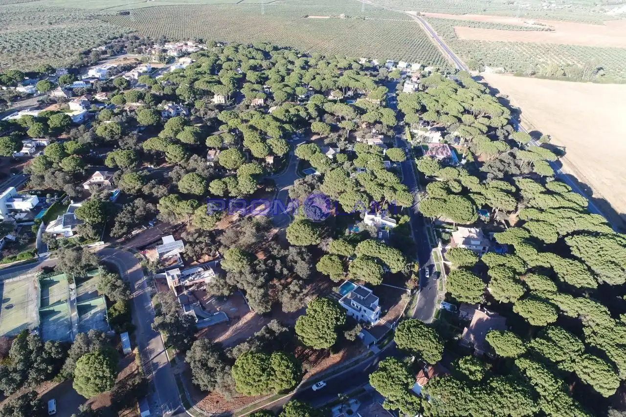 Terrenos y solares en venta en Calle Magnolia
