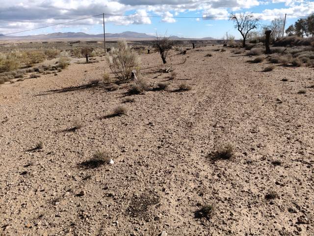 Terreno en Venta en N/A en Caniles