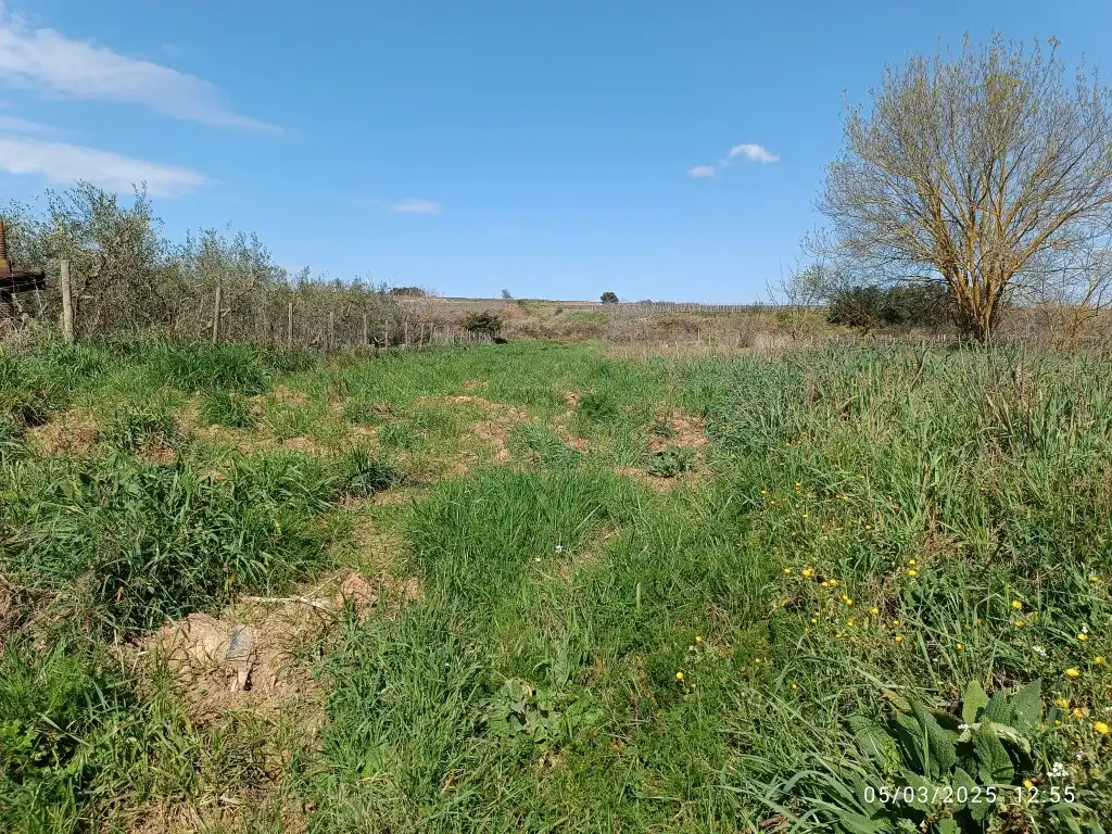 Rustikales Grundstück zum Verkauf in Sant Julià, imagen 9