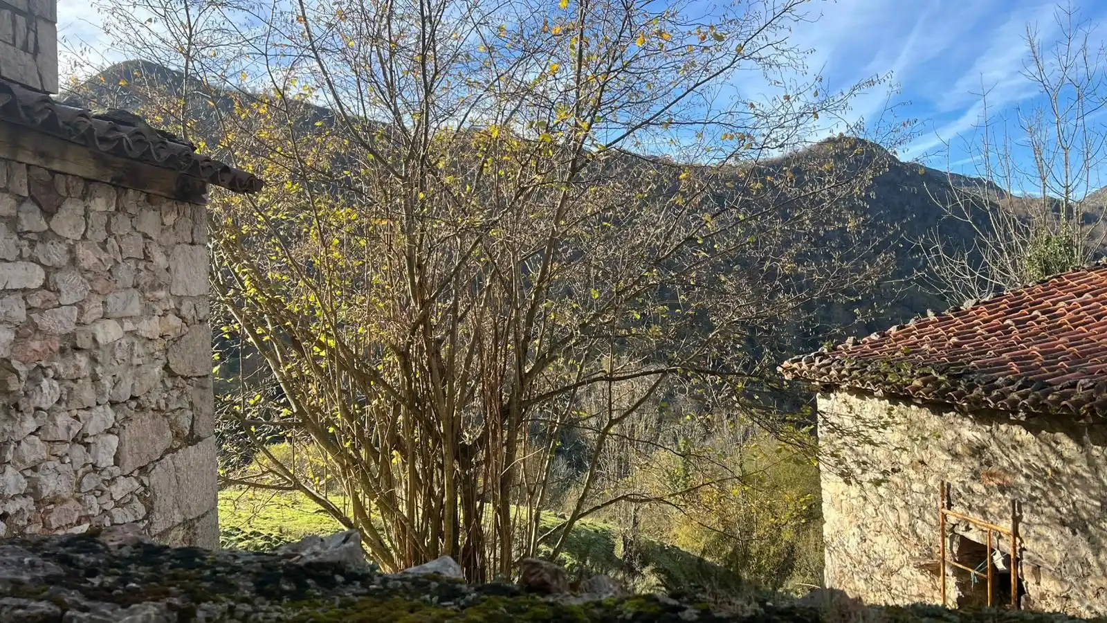 Terreno rustico in vendita a Cangas de Onís, imagen 21