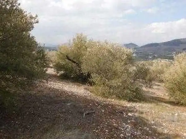 Terreni e lotti in vendita a Alcaudete, imagen 18