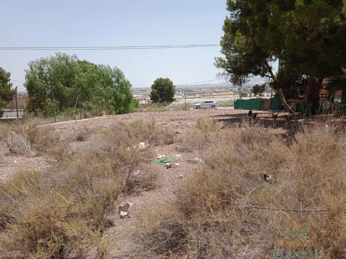 Industrial building for sale in Totana, imagen 10