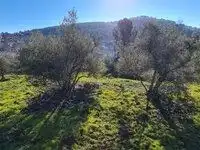 Terreni e lotti in vendita a Arenas de San Pedro, imagen 9