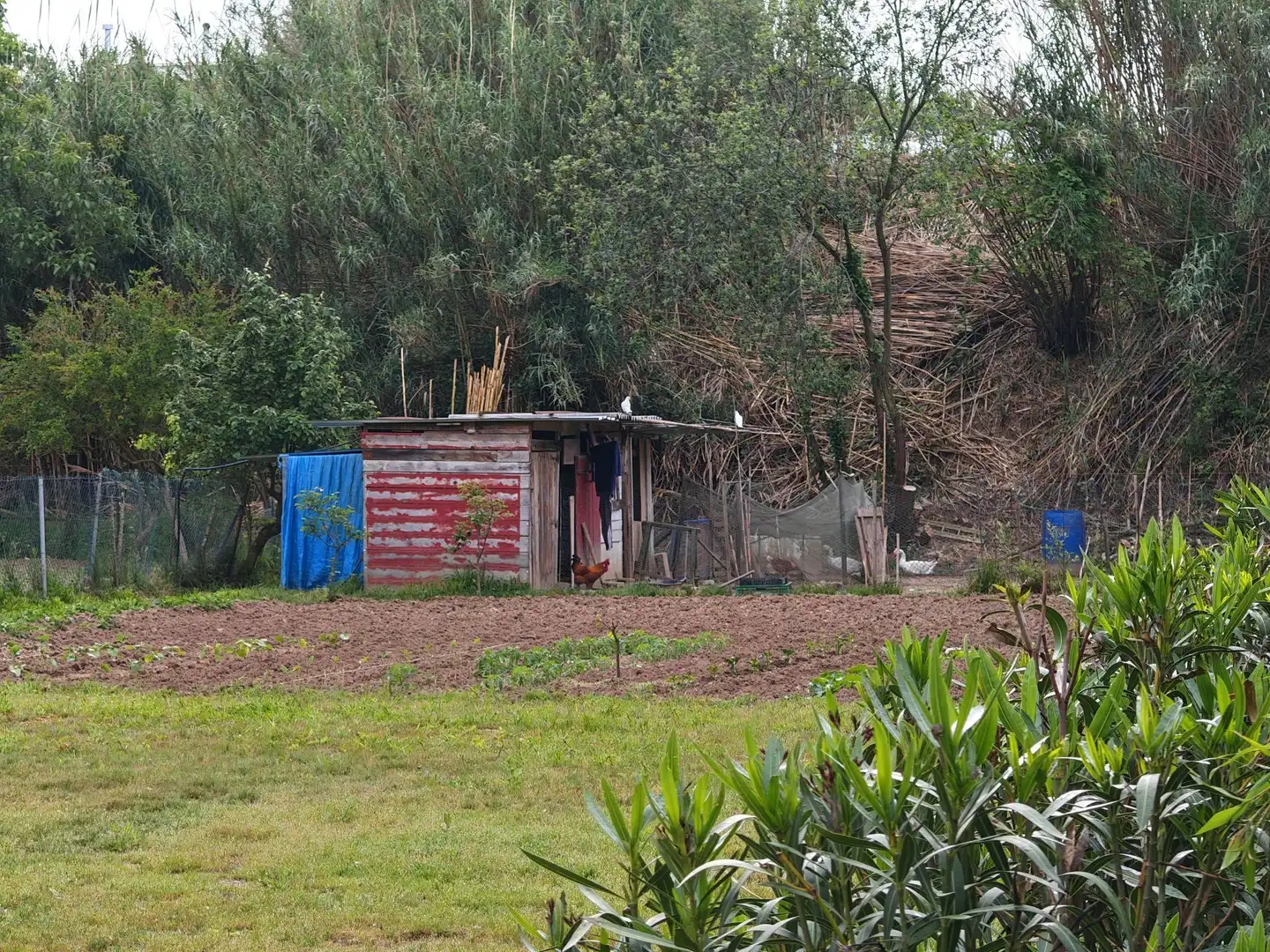 Grundstücke und Bauplätze zum Verkauf in Residencial Blanes - Vistamar, imagen 4