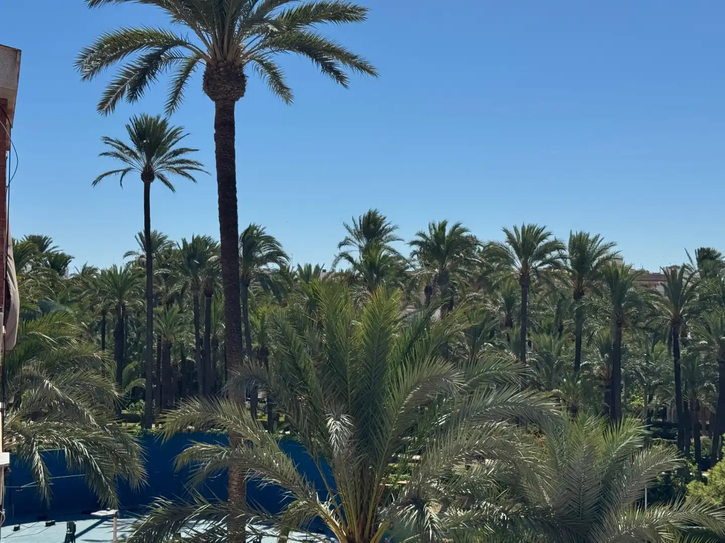 Wohnung mit Terrasse zum Verkauf in Santa Pola ciudad, imagen 48