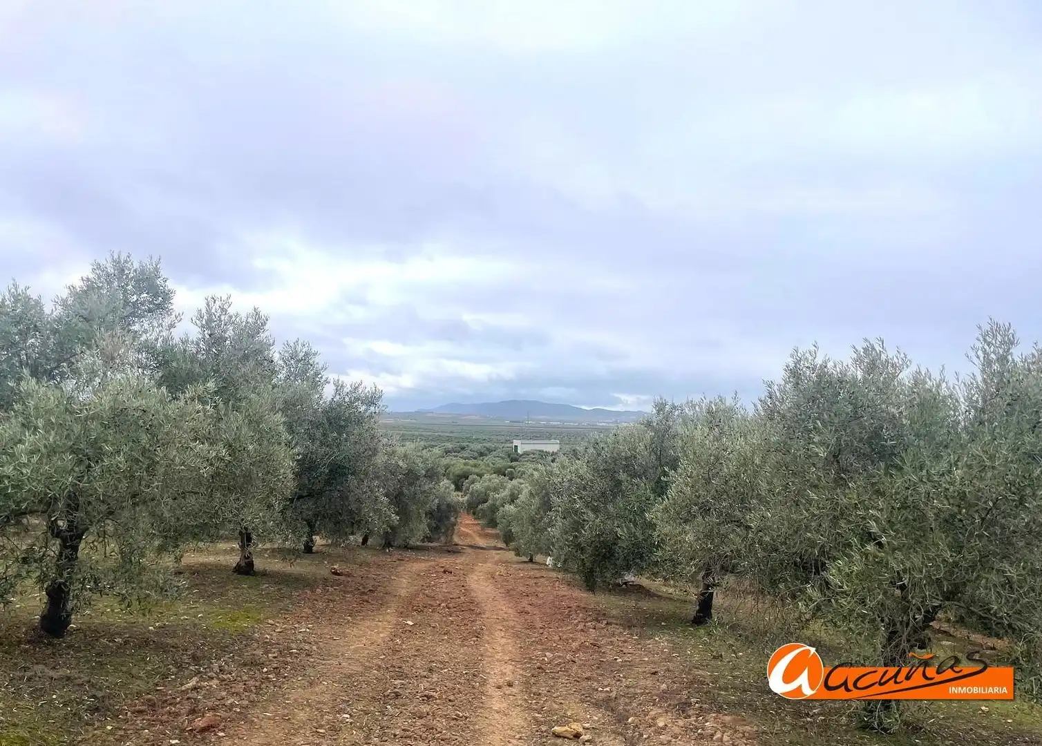 Terrenos y solares en venta en Alameda, imagen 42