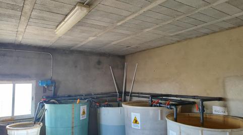 Photo 3 of Country house for sale in Pozo de los Frailes - Presillas - Albaricoques, Níjar