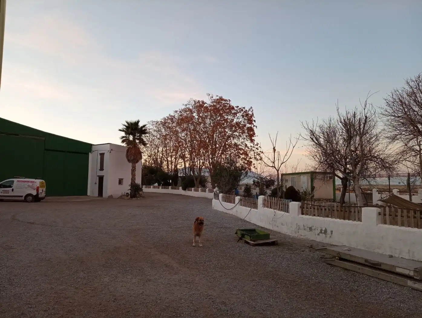 Terreny rústic en venda a Calle Ciprés 11, imagen 16