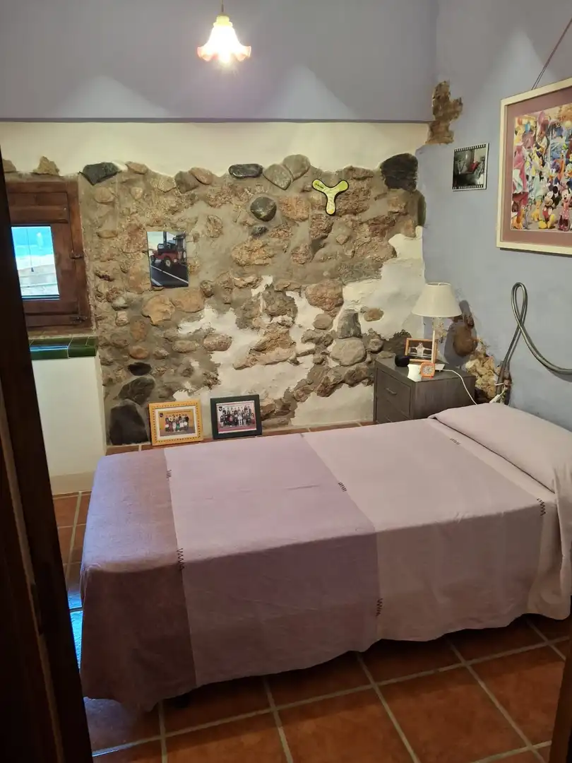 Finca rústica en venda a TORNA, Garcia
