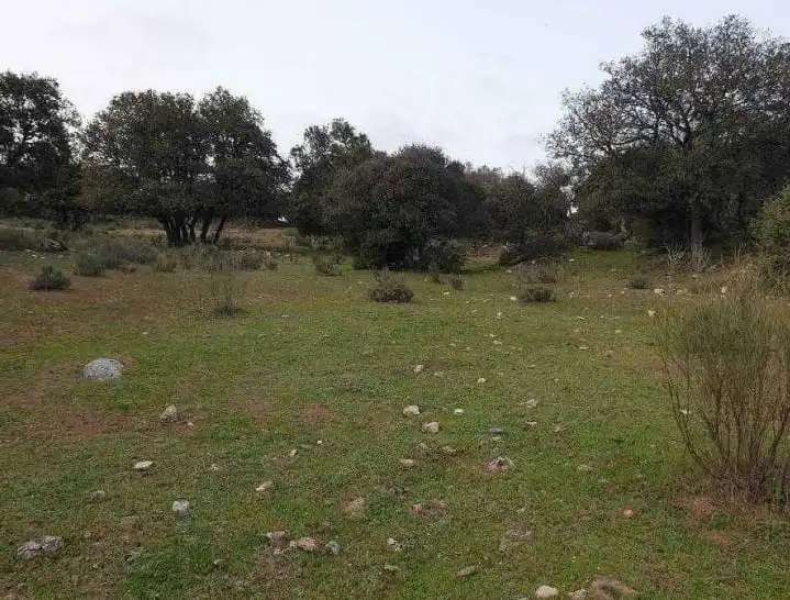 Terreno rústico en venta en Paraje El Enebral, imagen 6