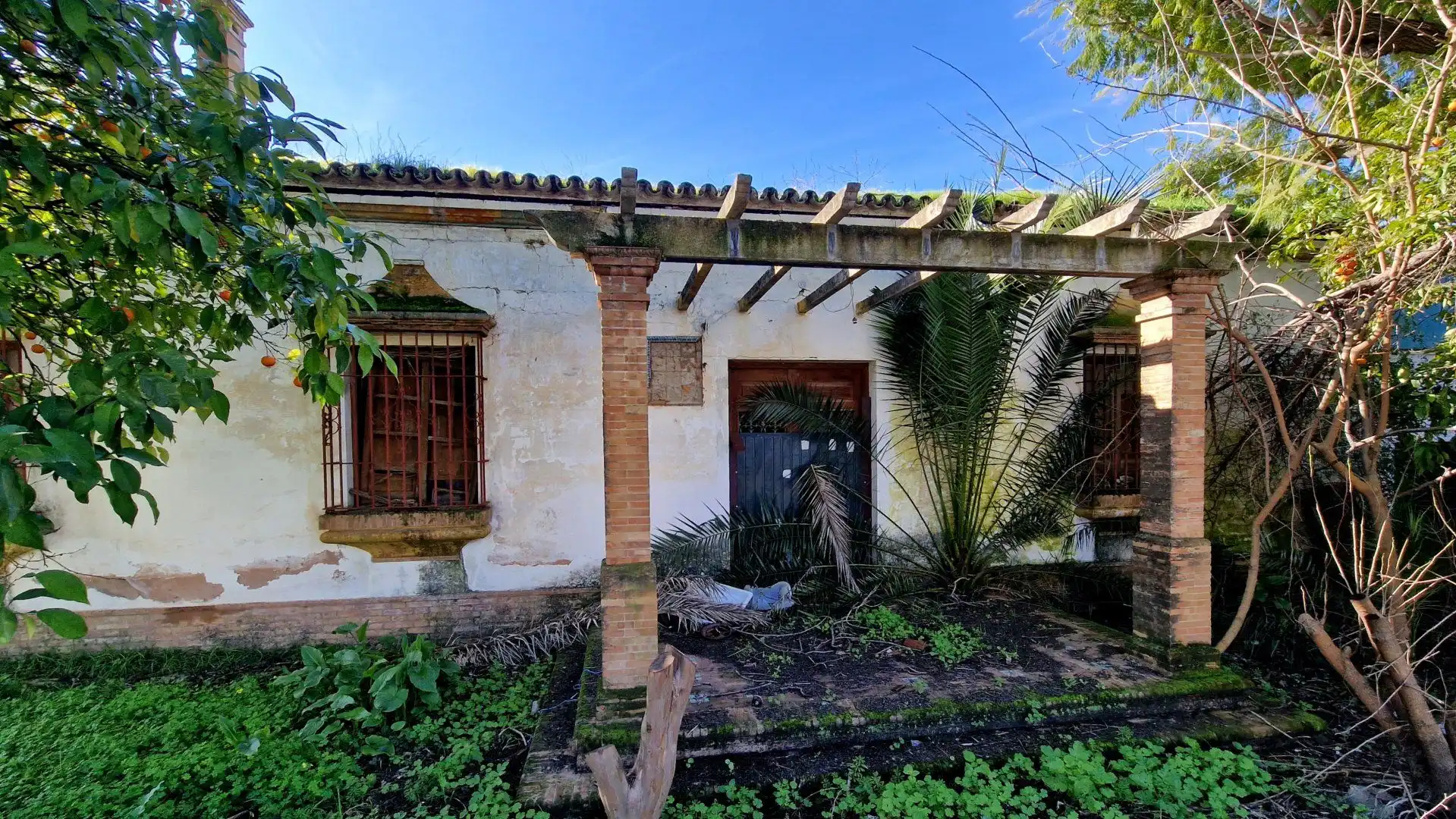 Vista exterior de Finca rústica en venta en Valencina de la Concepción