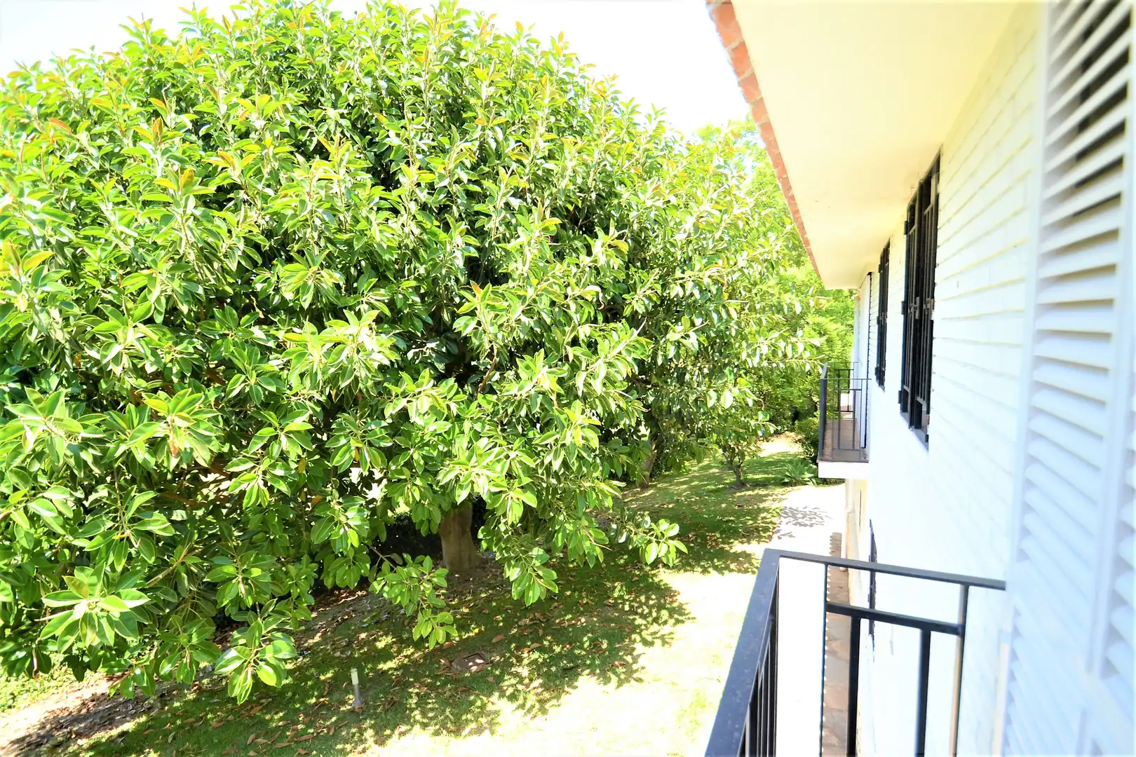 Terreno residenziale in vendita a San Pedro de Alcántara, imagen 10