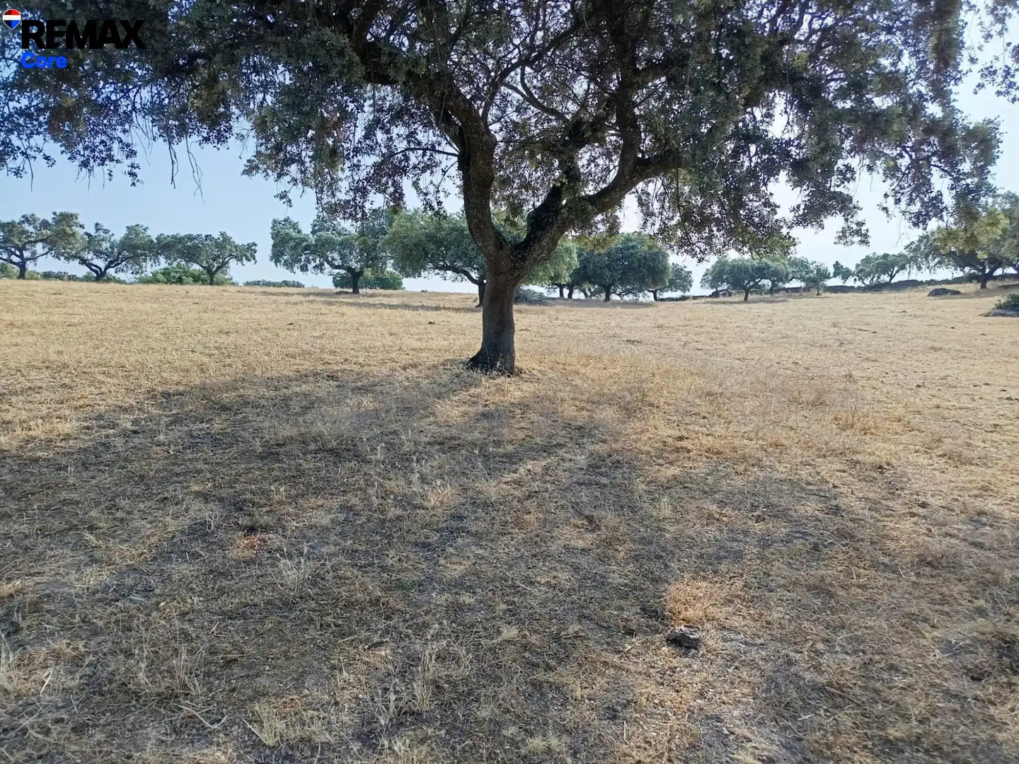 Terreni e lotti in vendita a Alburquerque, imagen 8