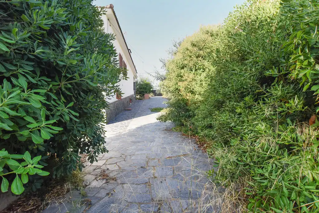 Vista exterior de Casa o chalet en venta en Lliçà d'Amunt