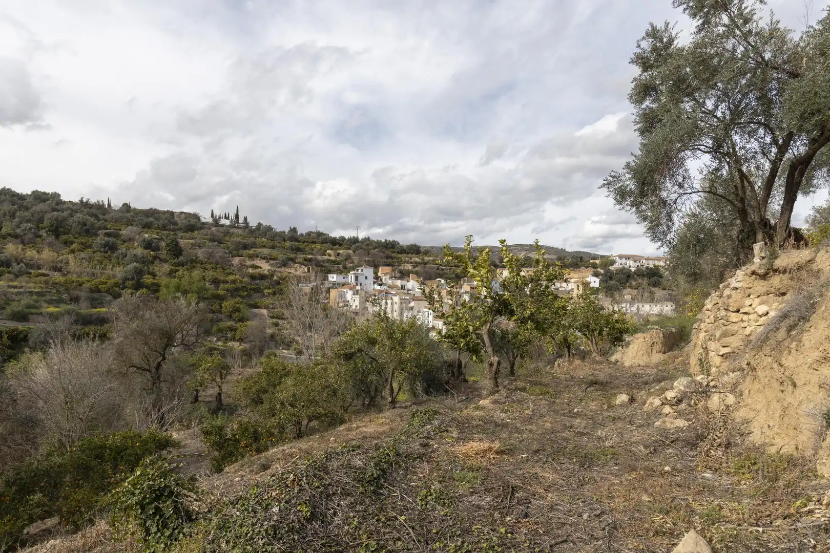 Finca rústica en venta en El Valle, Serón
