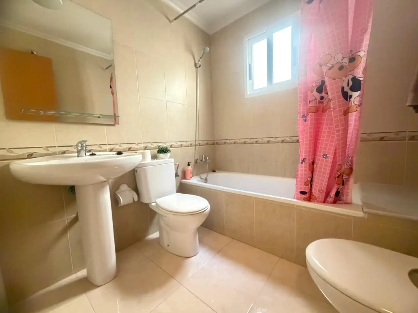 Wohnung zur Miete in Calle Blasco Ibáñez, 19, Dolores