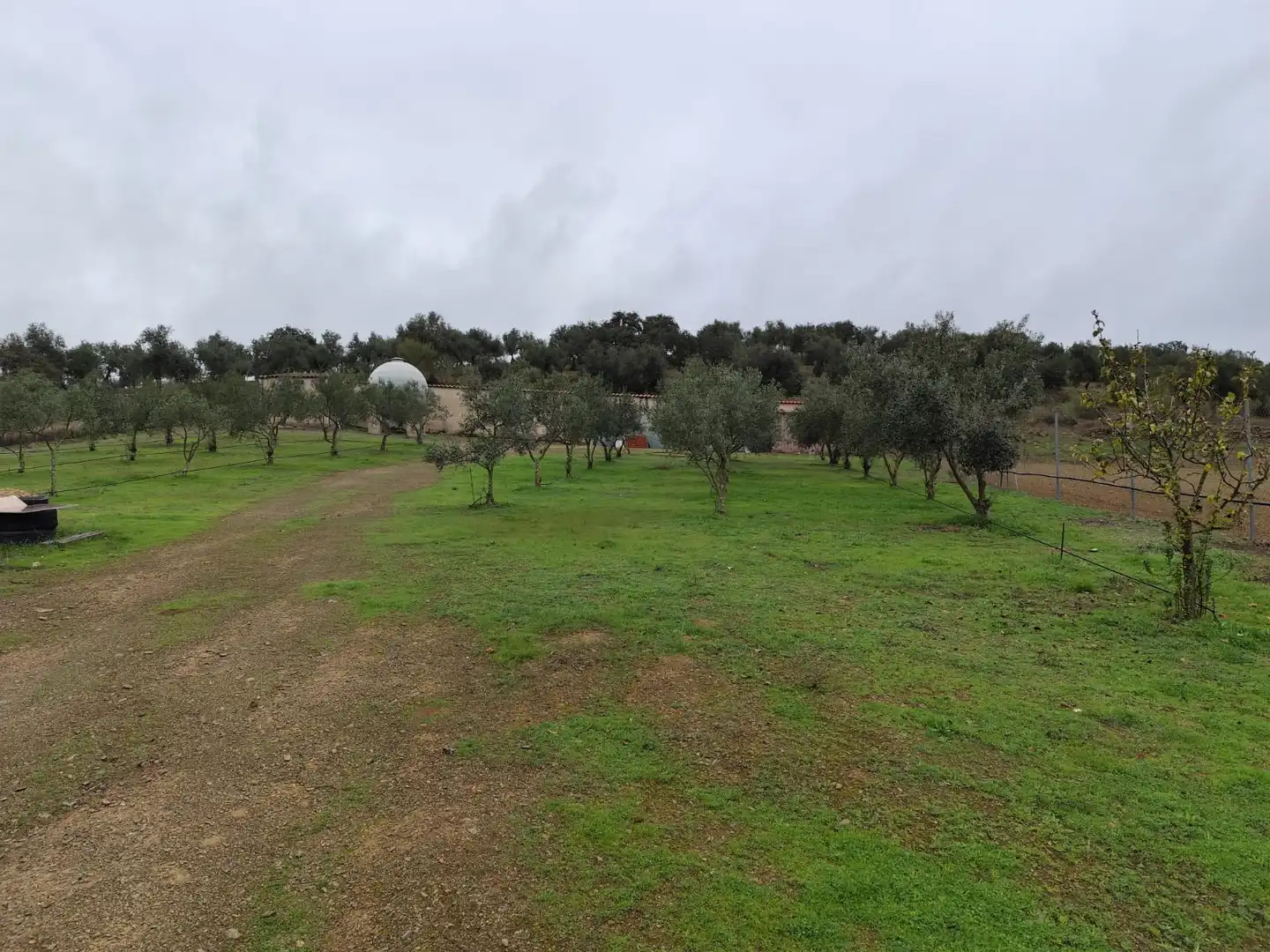 Land for sale in Atalaya