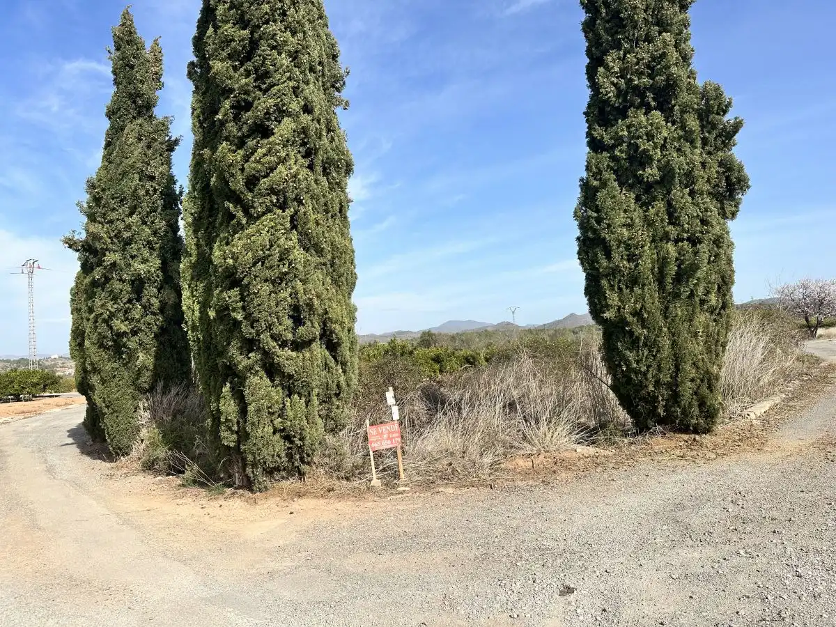 Terreno residencial en venta en Algímia de Alfara, imagen 11