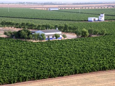 Terreny rústic en venda a Finca La Cañada