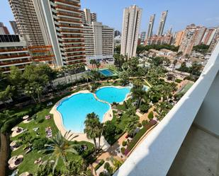 Swimming pool of Apartment to rent in Benidorm  with Air Conditioner, Terrace and Furnished
