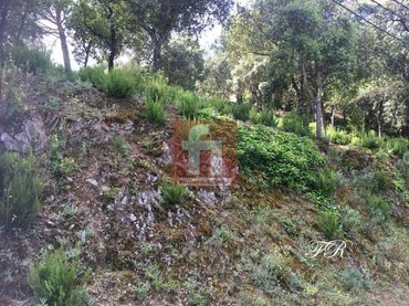 Terreni e lotti in vendita a El Racó - Sant Feliu del Racó