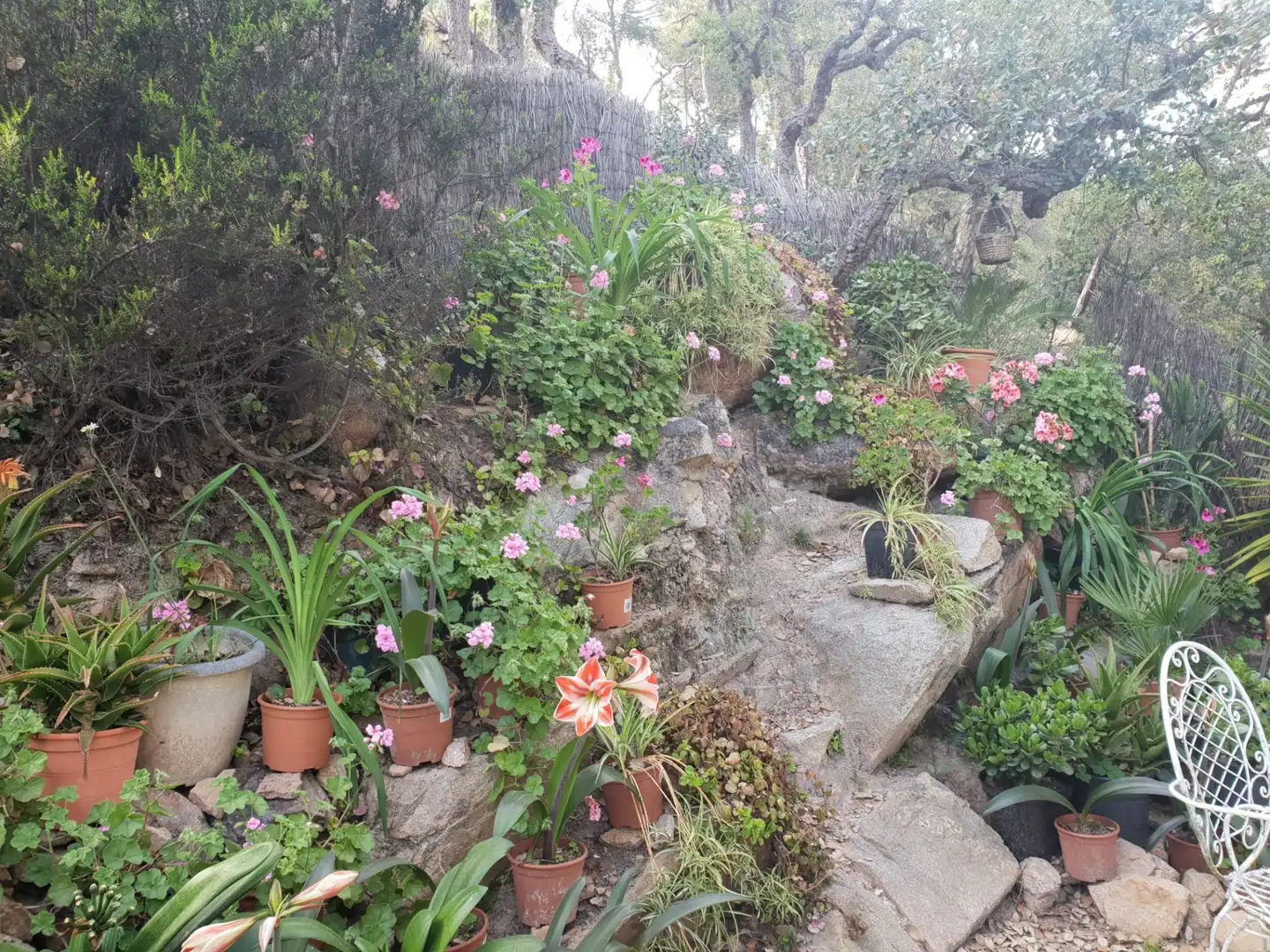 Terrenos y solares en venta en Canyelles, imagen 9