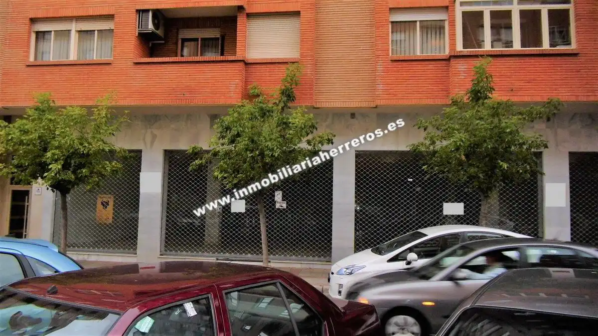 Business premises for sale in PINTOR ROSALES, imagen 10