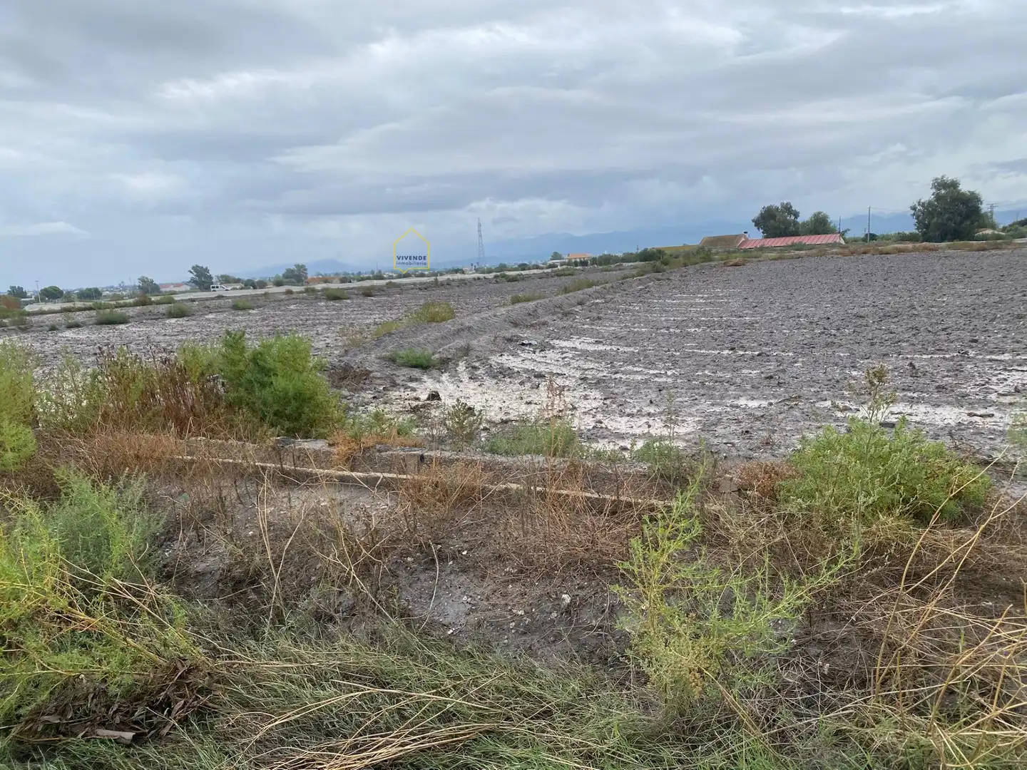 Terreni e lotti in vendita a Pedanías Centro, imagen 3
