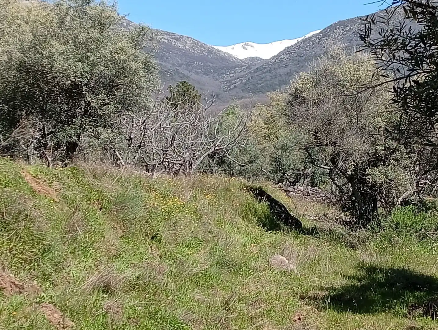 Terreni e lotti in vendita a Valverde de la Vera, imagen 75
