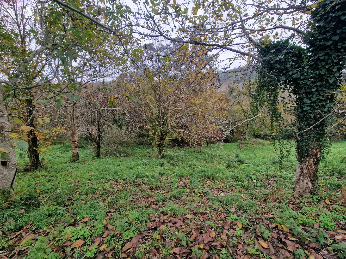 Maison avec jardin à vendre à Valdoviño, imagen 20