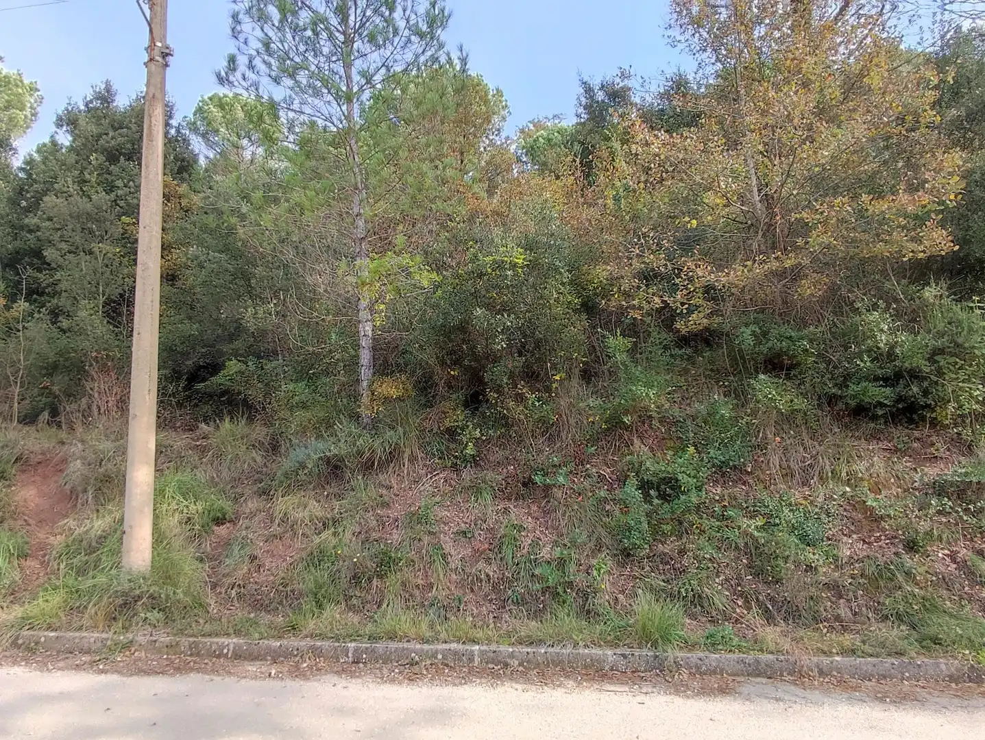 Terrain rustique à vendre à Monistrol de Calders, imagen 4