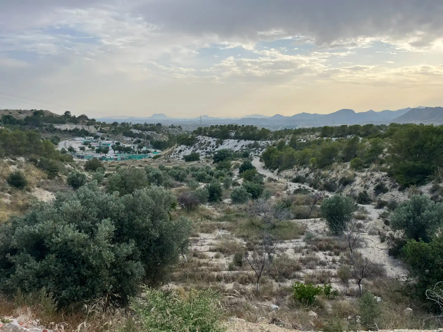 Finca rústica en venta en Busot