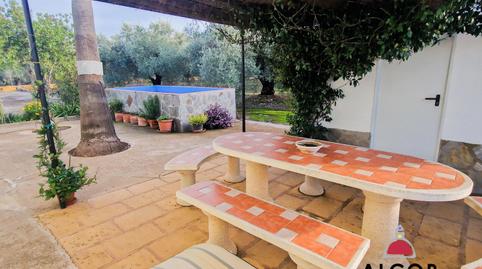 Foto 4 de Finca rústica en venda a Càlig, Castellón