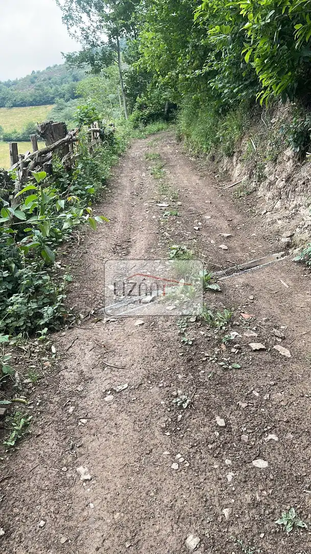 Lands and plots for sale in Aller - P.Valle s/n, imagen 9