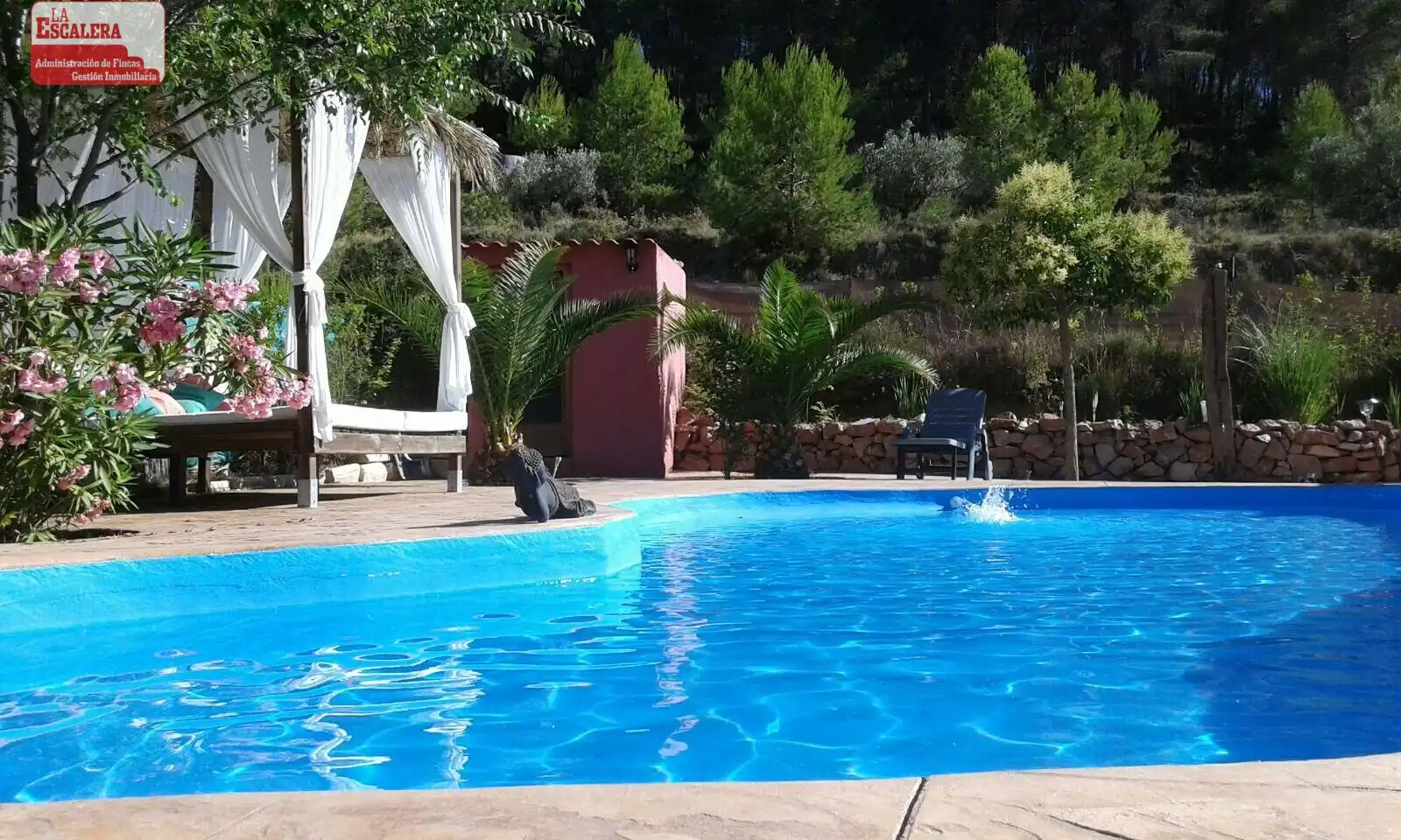Casa o xalet de lloguer a Ibi