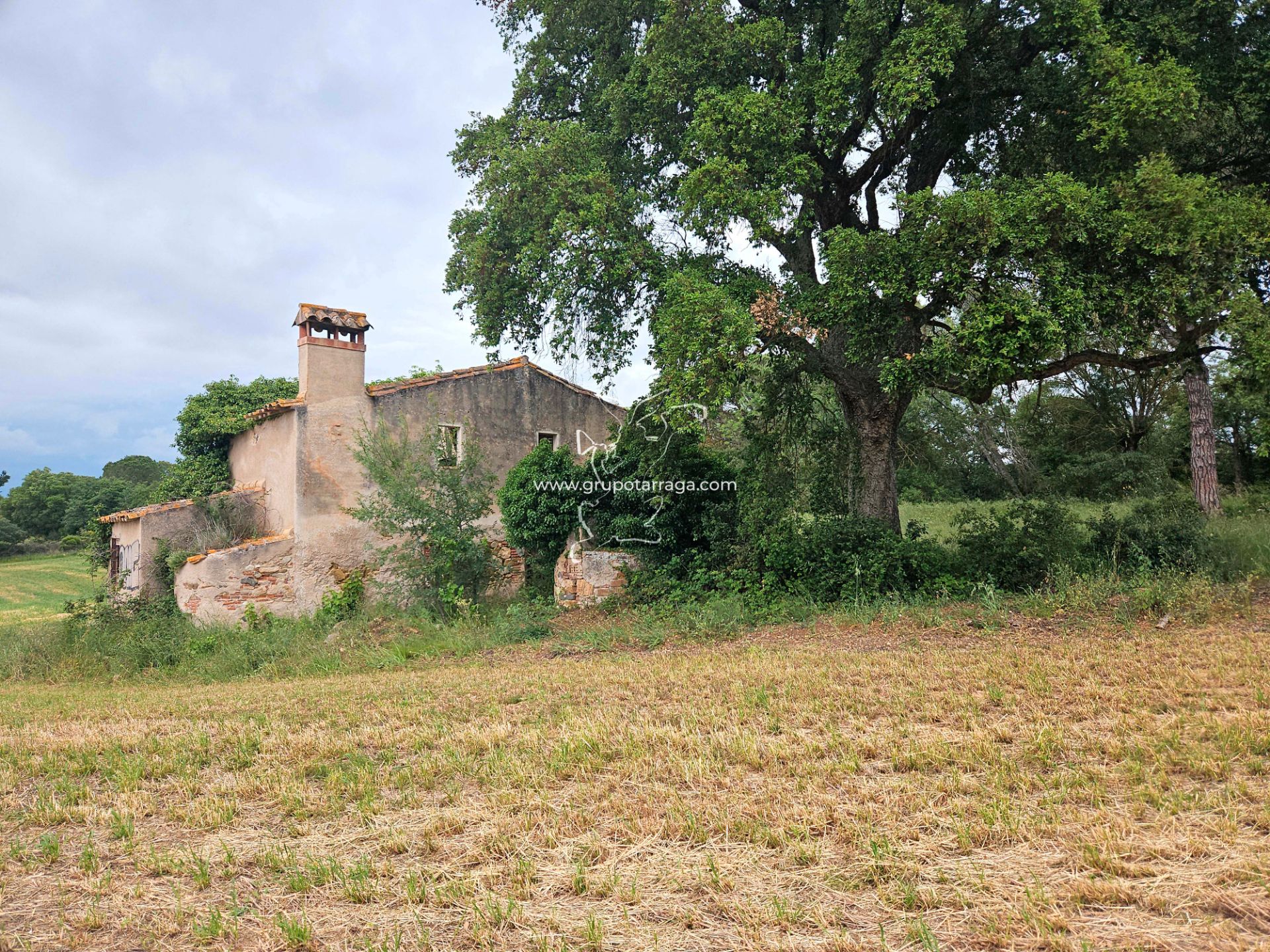 Finca rústica en venda en Maçanet de la Selva