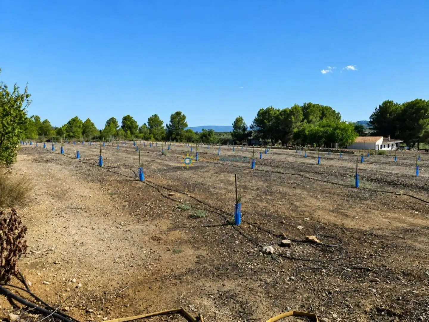 Rustikales Grundstück zum Verkauf in Sumacàrcer, imagen 2