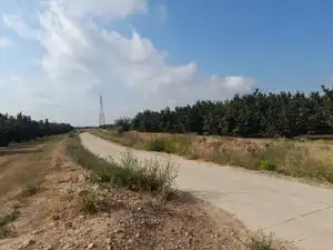 Land for sale in La Masó